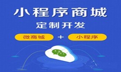 微信小程序开发、商城小程序开发功能-开云手机官方网站开云手机官方网站